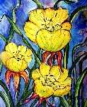 Drei gelbe Blüten